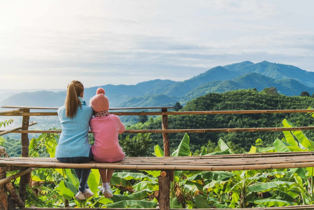 Attractions at Munnar