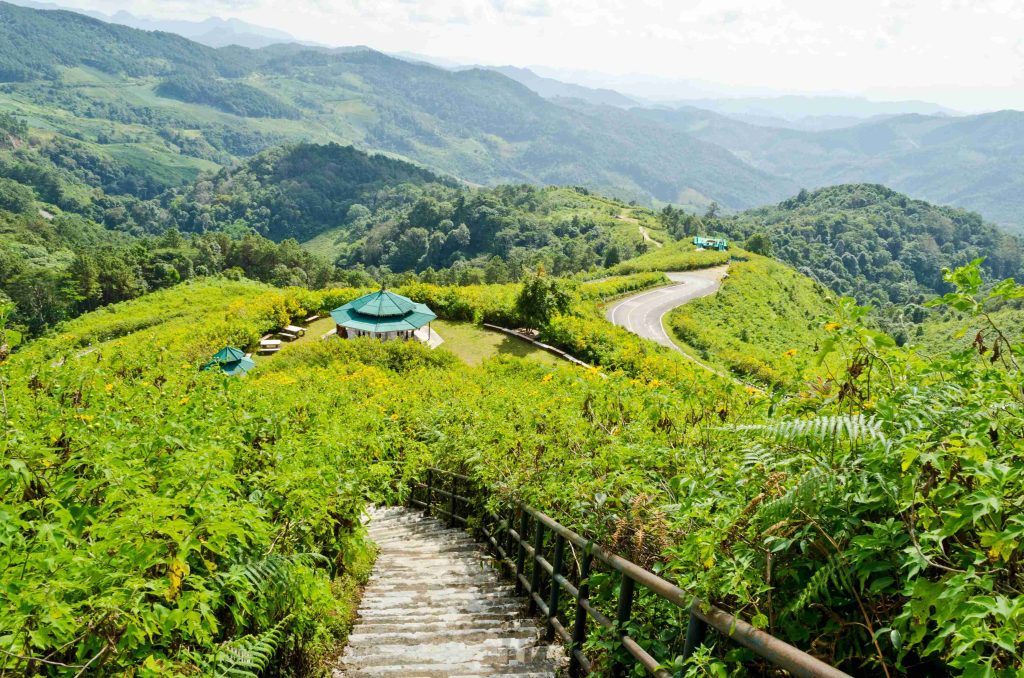 Places in Munnar to Visit