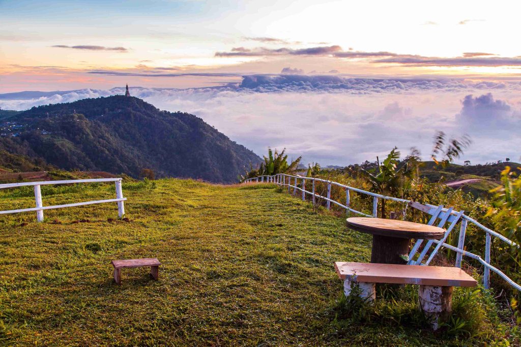 Unique Tourist Places in Munnar
