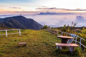 Unique Tourist Places in Munnar