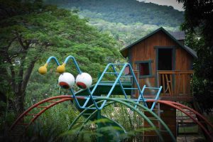 Best Holiday Destination in Munnar