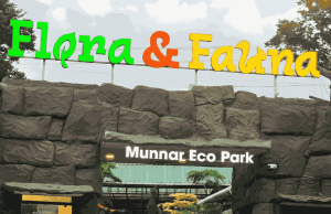 Tourist Attractions in Munnar