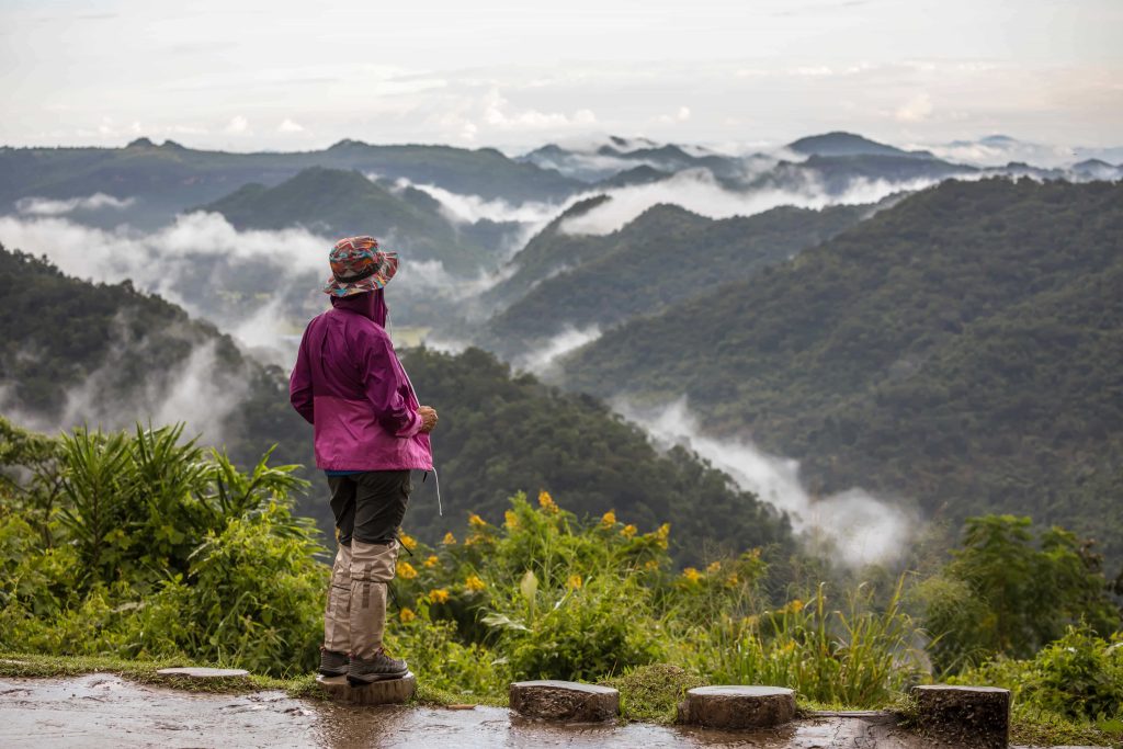 Top Places to Visit in Munnar