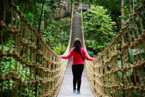 Adimali Adventure Park