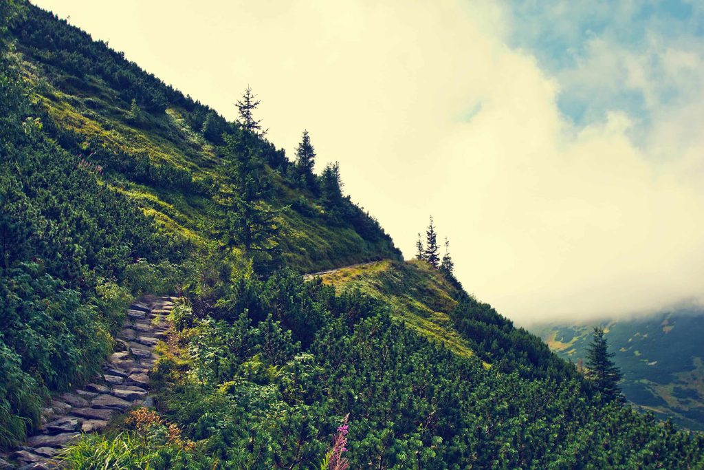Munnar Places to Visit