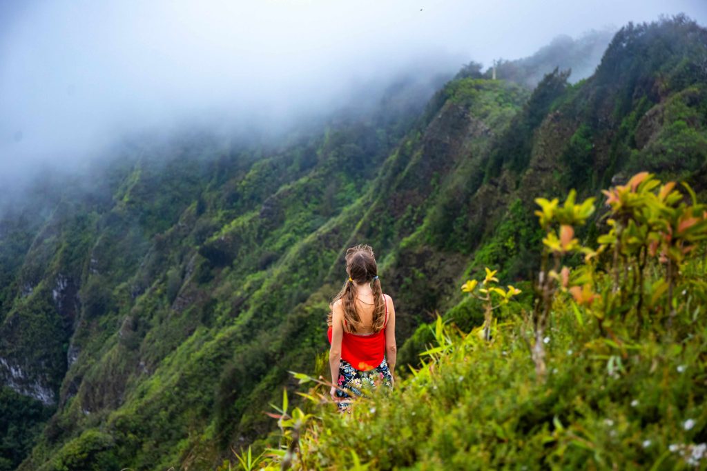 Travel Destinations at Munnar